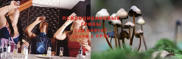 метадон Армянск